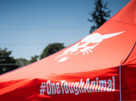 Bobcat Demo Days 2026: una. nuova era per le pale