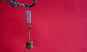 5 Molle Per Esperimenti Di Fisica - Kit Didattico Per Dimostrare La Legge Di Hooke A Scuola O In Laboratorio