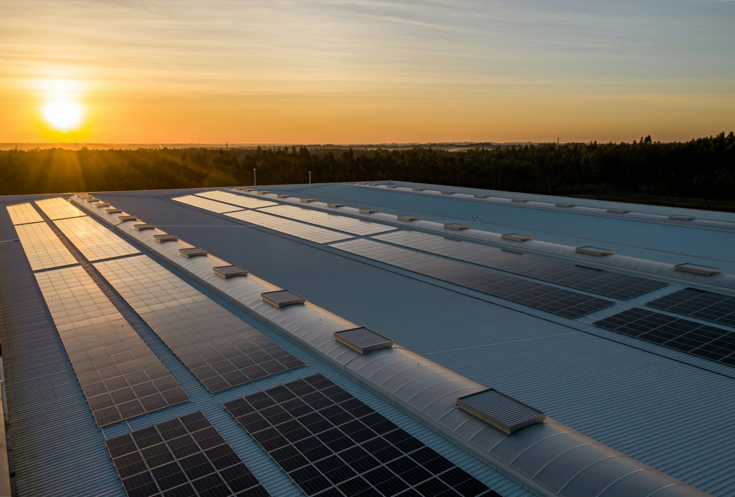 zilio group rivoluziona l'energia
