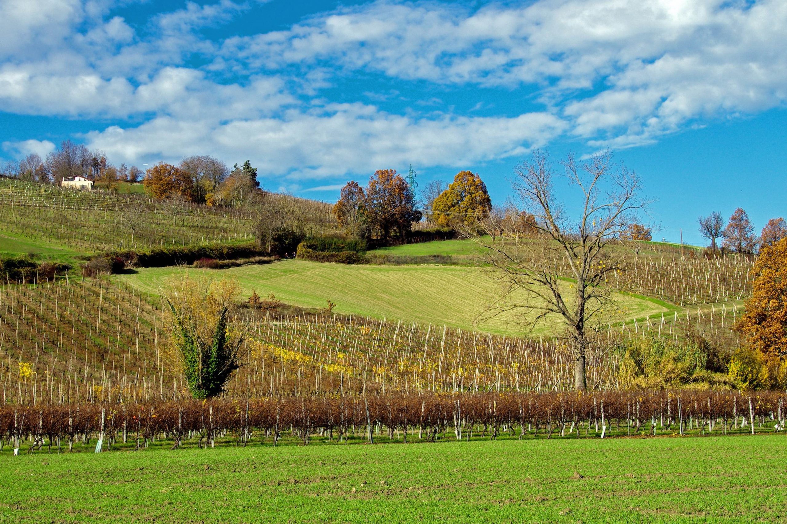 emilia-romagna
