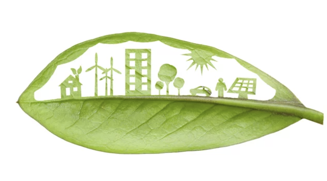 Finiture sostenibili e materiali ecocompatibili nell’industria moderna