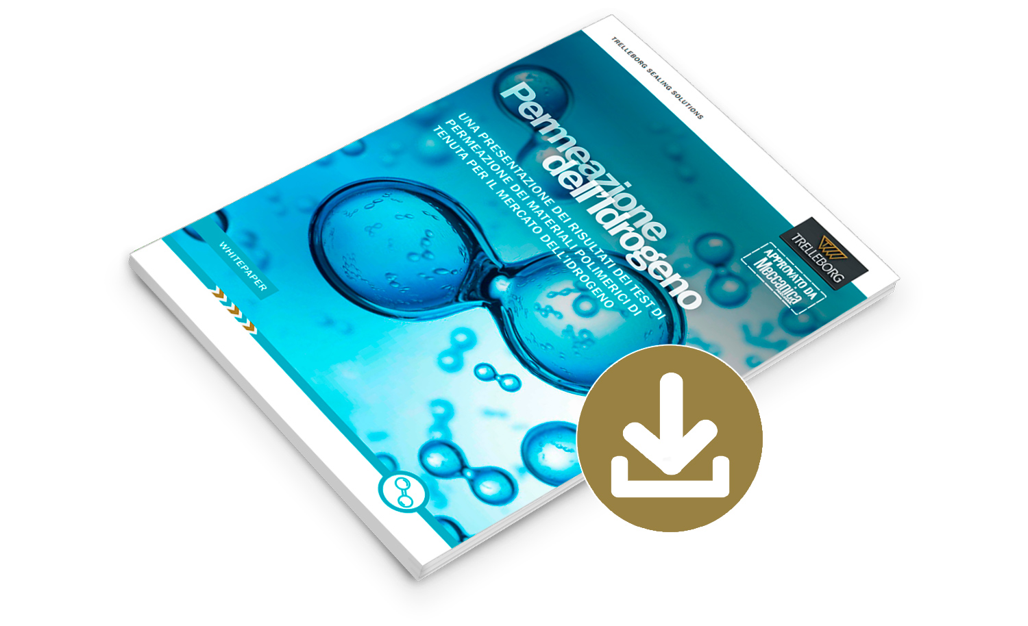 White Paper | Permeazione dell’Idrogeno: risultati di test sui materiali polimerici di tenuta