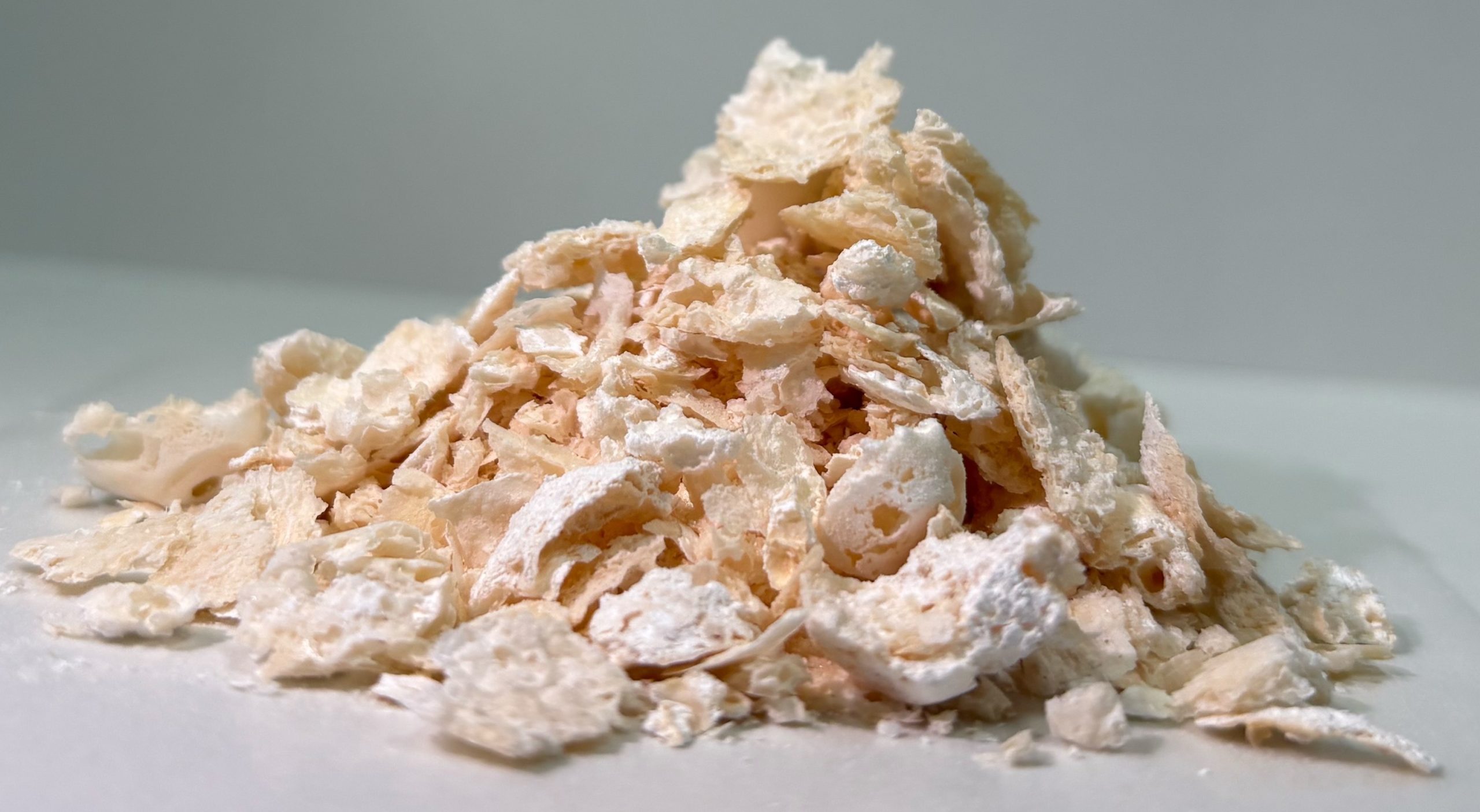 Plastica biodegradabile più resistente del PET
