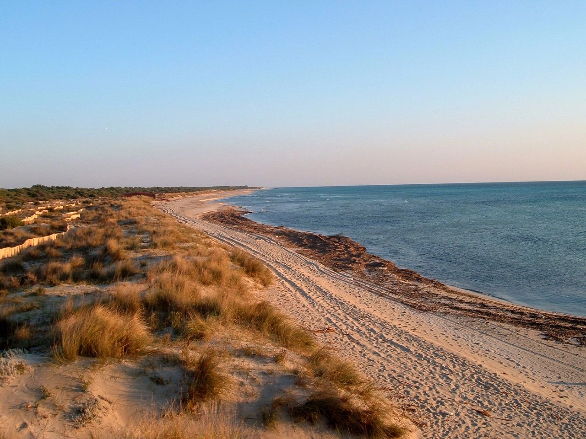 Ecosistema Stampi al Sud: sfide, opportunità e strategie