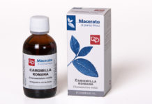 Macerato fresco di Camomilla romana