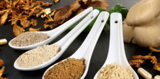 Benefici dei funghi medicinali contro l’Alzheimer: prime evidenze sperimentali