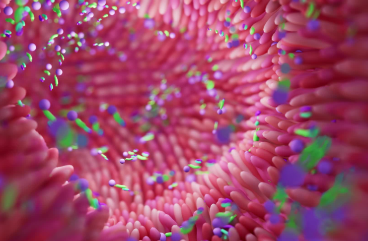 Microbiota e immunoterapia nel carcinoma renale metastatico: i risultati dello studio TACITO Microbiota