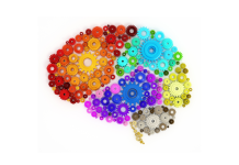 I momenti della vita che cambiano il cervello