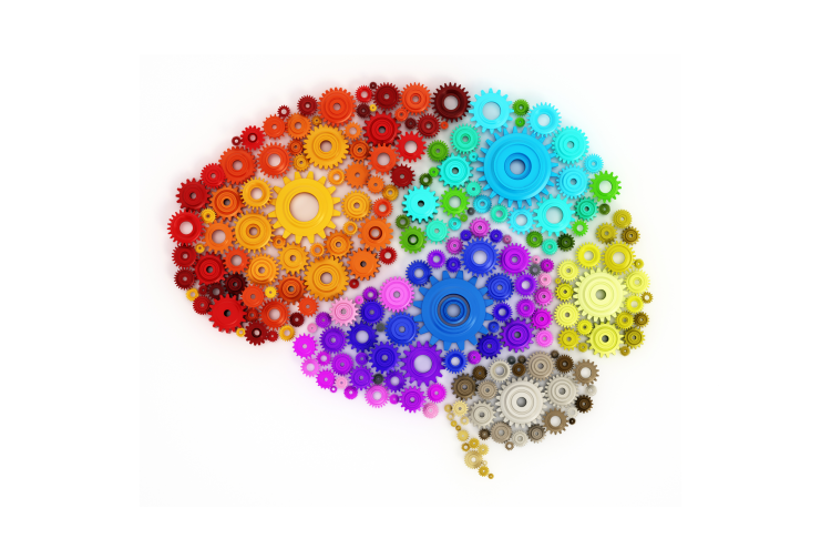 I momenti della vita che cambiano il cervello