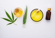 Oli essenziali, possibile impatto sull’asse intestino-cervello