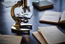 Dalla letteratura internazionale