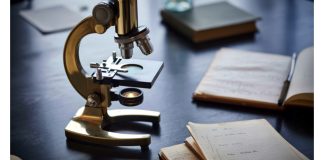 Dalla letteratura internazionale