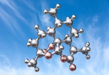 Artemisinina, una nuova arma contro l’aterosclerosi