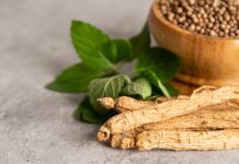 Ginseng e cervello, una promessa contro l’invecchiamento