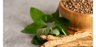 Ginseng e cervello, una promessa contro l’invecchiamento