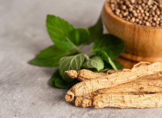 Ginseng e cervello, una promessa contro l’invecchiamento