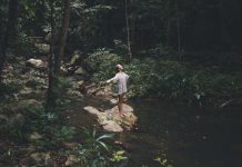 Prescrivere l’immersione nella natura come terapia, il progetto dell’ISS