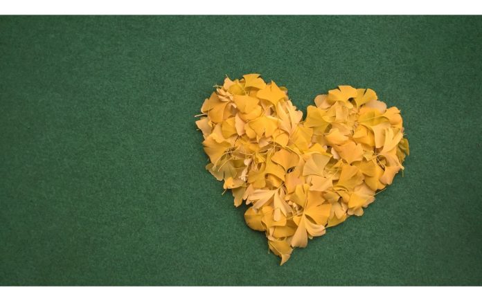 Progetto senza titolo - 1