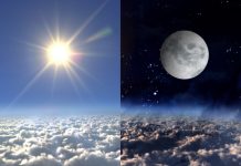 La luce notturna può influenzare il rischio cardiovascolare