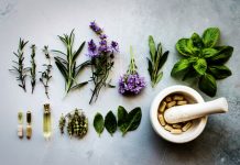 Fitoterapia e microbiota: nuove prospettive contro l’obesità