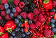 Frutti di bosco, potenziale efficacia nella prevenzione dell’osteoporosi