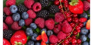 Frutti di bosco, potenziale efficacia nella prevenzione dell’osteoporosi