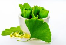 Ginkgo biloba, un alleato contro le complicanze della steatosi epatica