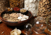 Il secondo summit dell’OMS sulla medicina tradizionale