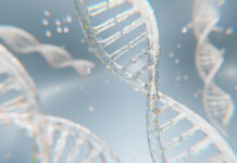 2026 un nuovo inizio Elica di DNA