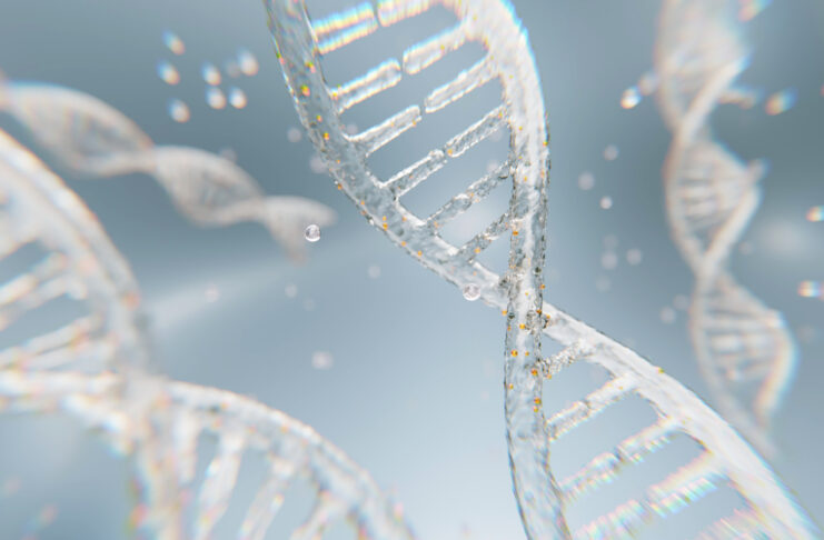 2026 un nuovo inizio Elica di DNA
