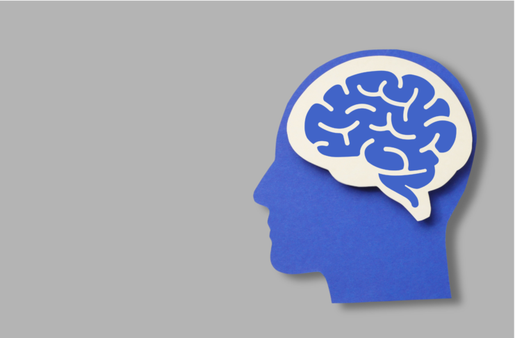Come il cervello usa lo spazio per rappresentare il tempo: i dati neuroscientifici Illustrazione schematica del cervello umano come metafora della rappresentazione dello spazio e del tempo