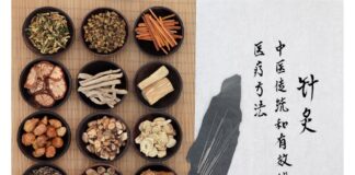 Crampi muscolari in emodialisi: nuove evidenze sull’efficacia del decotto Shaoyao-Gancao Radici, frutti e piante usati nella medicina tradizionale per trattamenti naturali dei disturbi muscolari