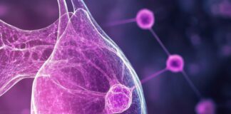 Carcinoma mammario e nutrizione dieta durante la terapia ormonale tumore al seno