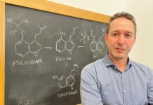 Derivati della psilocina: nuove prospettive terapeutiche per depressione e disturbi neuropsichiatrici derivati della psilocina per disturbi neuropsichiatrici