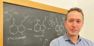 Derivati della psilocina: nuove prospettive terapeutiche per depressione e disturbi neuropsichiatrici derivati della psilocina per disturbi neuropsichiatrici