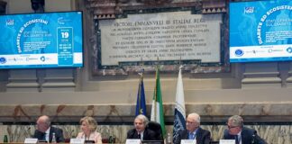 Diabete ed Ecosistemi: costruire una salute equa tra medicina e società Gestione integrata diabete