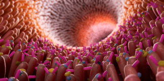 Microbiota intestinale e declino cognitivo: nuove evidenze sull’asse intestino-cervello nelle malattie neurodegenerative Microbiota intestinale e declino cognitivo: nuove evidenze