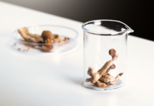 Psilocibina in sperimentazione per la depressione farmaco-resistente psilocibina depressione farmaco-resistente