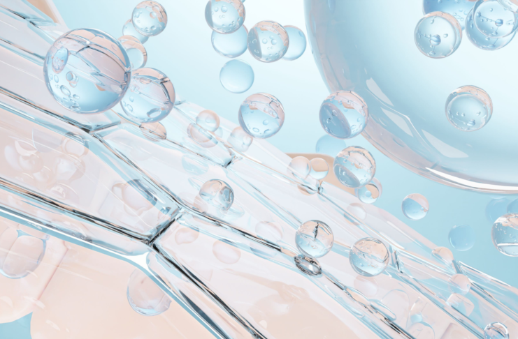 Antiossidanti a confronto Stress ossidativo e invecchiamento