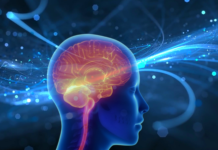 Declino proteostatico e microglia: nuove evidenze dall’invecchiamento cerebrale invecchiamento cerebrale e proteostasi