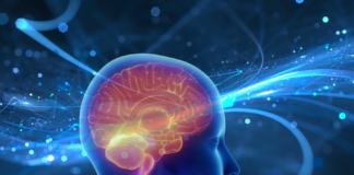 Declino proteostatico e microglia: nuove evidenze dall’invecchiamento cerebrale invecchiamento cerebrale e proteostasi