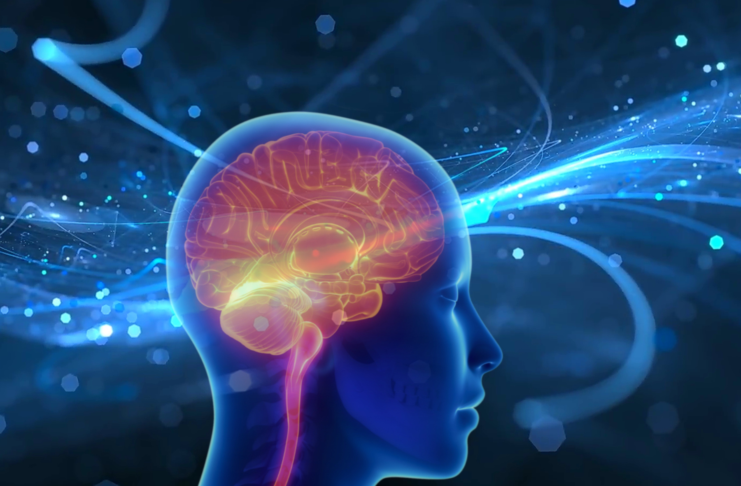 Declino proteostatico e microglia: nuove evidenze dall’invecchiamento cerebrale invecchiamento cerebrale e proteostasi