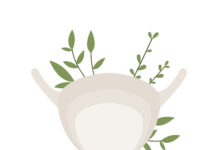 Cistite: rimedi naturali e fitoterapia per ridurre infiammazione e recidive rimedi naturali per la cistite