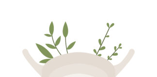 Cistite: rimedi naturali e fitoterapia per ridurre infiammazione e recidive rimedi naturali per la cistite