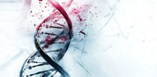 Epigenetica: il ruolo centrale nei tumori pediatrici Epigenetica tumori pediatrici