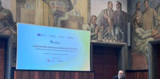 Città, biodiversità e salute: verso un modello di “Caring City” biodiversità urbana e salute prevenzione malattie croniche