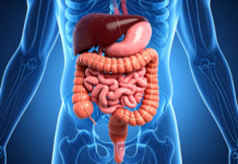 Infiammazione intestinale ed epigenetica: un possibile legame con il tumore del colon-retto infiammazione intestinale e tumore del colon-retto