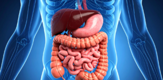 Infiammazione intestinale ed epigenetica: un possibile legame con il tumore del colon-retto infiammazione intestinale e tumore del colon-retto