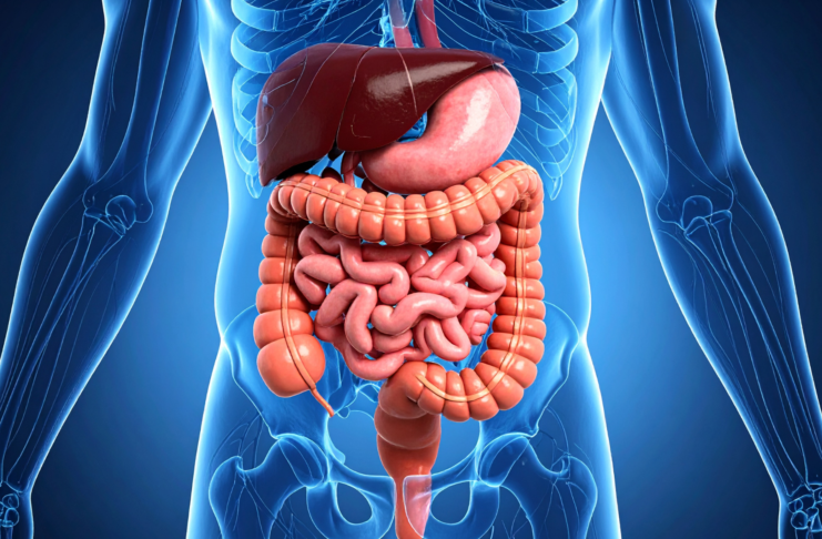 Infiammazione intestinale ed epigenetica: un possibile legame con il tumore del colon-retto infiammazione intestinale e tumore del colon-retto