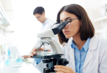 Nuovo meccanismo nei tumori: il palmitato indebolisce le difese immunitarie palmitato tumore sistema immunitario